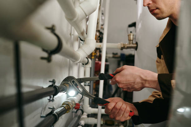 Best Clogged Drain Plumber  in Sylvania, OH